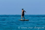 Bild 22