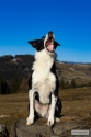 Bild 15