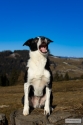 Bild 16