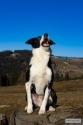 Bild 17