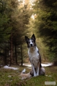 Bild 18