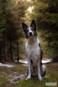 Bild 19