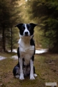 Bild 22