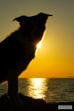 Bild 15