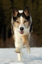 Bild 13