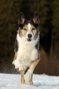 Bild 14
