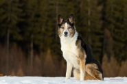 Bild 15