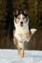Bild 16