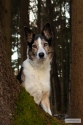 Bild 14