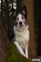 Bild 15