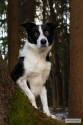 Bild 18