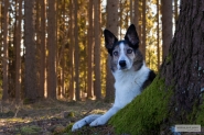 Bild 12