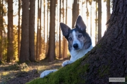 Bild 13